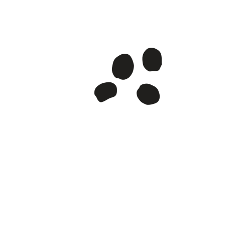 logo1-800px
